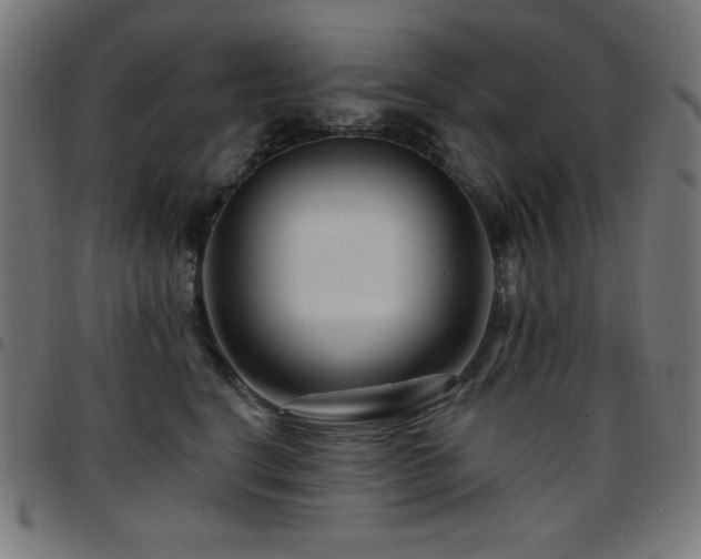 X0000097750664200803071249