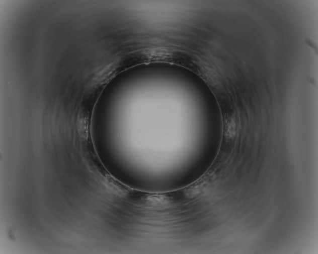X0000097750666200803071249