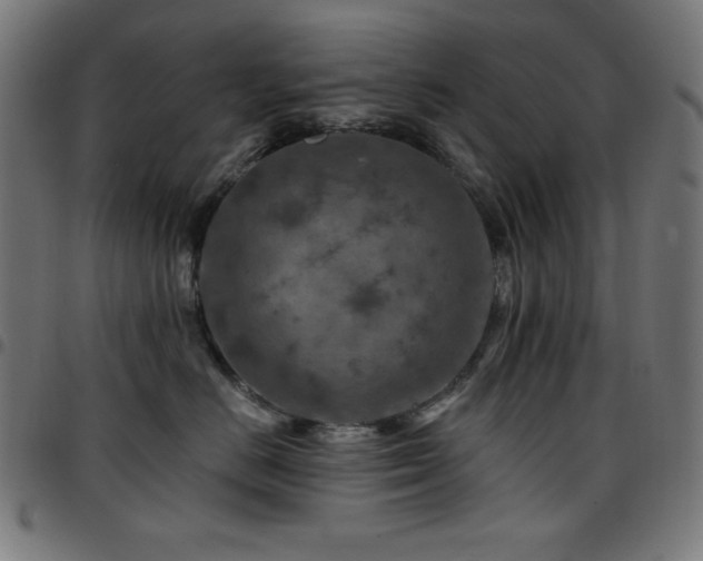 X0000097750670200803071249