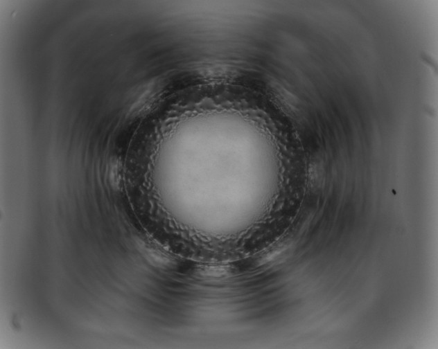 X0000097750671200803071250