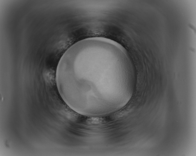 X0000097750672200803071250