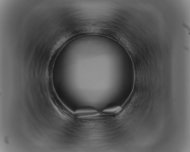 X0000097750674200803071249