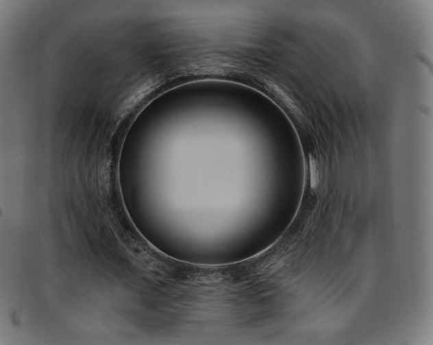 X0000097750675200803071249