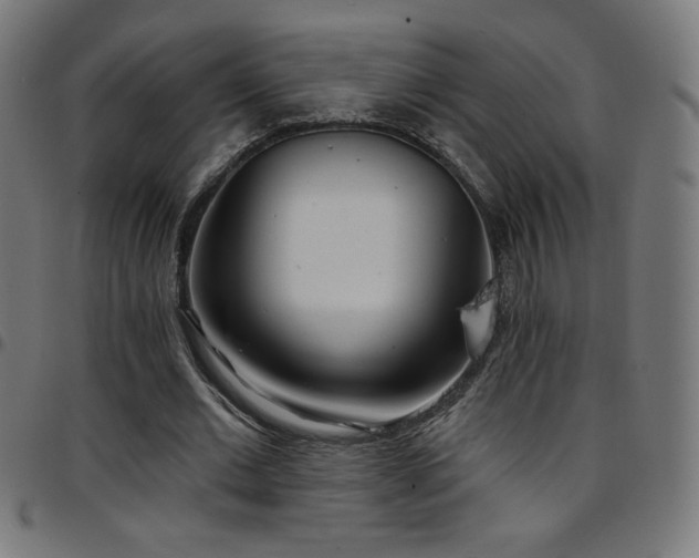 X0000097750677200803071249