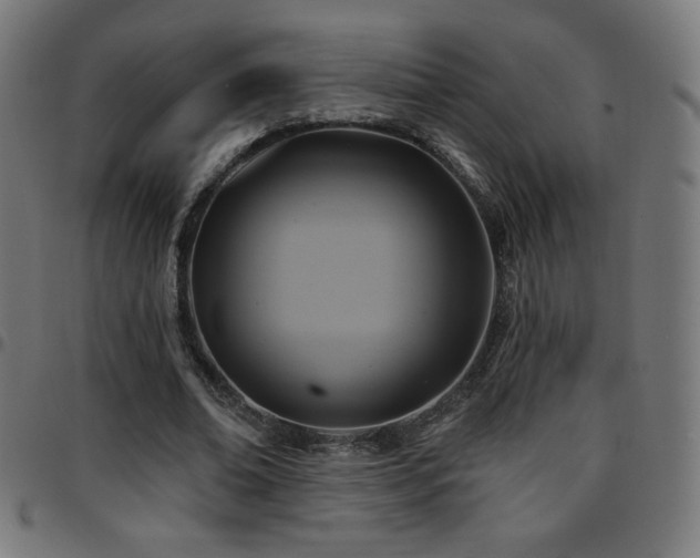 X0000097750678200803071249