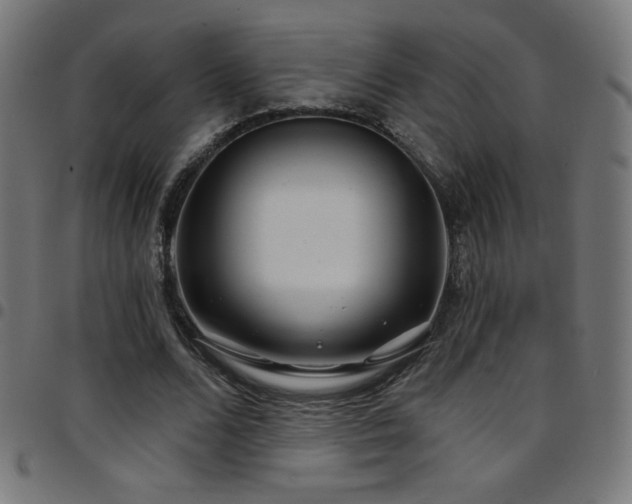 X0000097750680200803071249