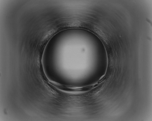X0000097750681200803071249