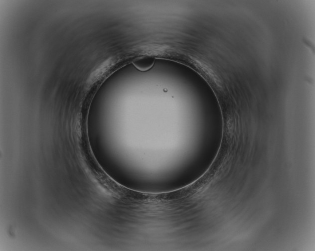 X0000097750682200803071249