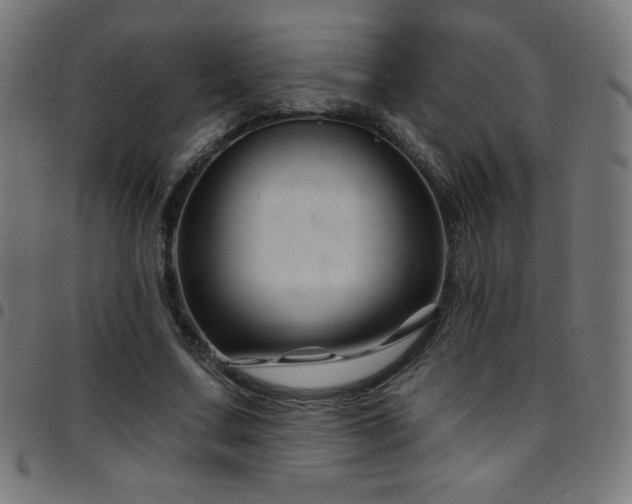 X0000097750683200803071249