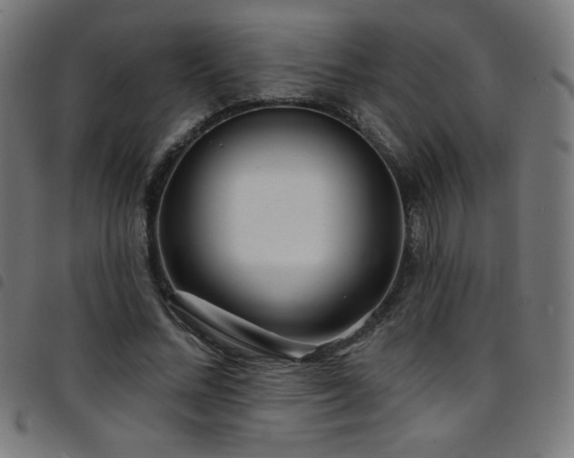 X0000097750684200803071249