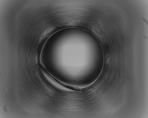 X0000097750685200803071249