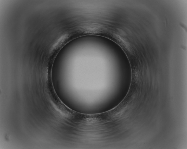 X0000097750686200803071249
