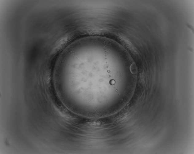 X0000097750687200803071249