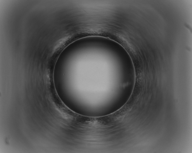 X0000097750688200803071249
