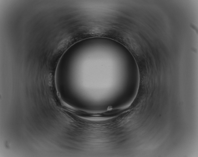 X0000097750689200803071249