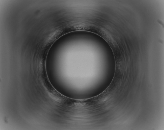 X0000097750690200803071249