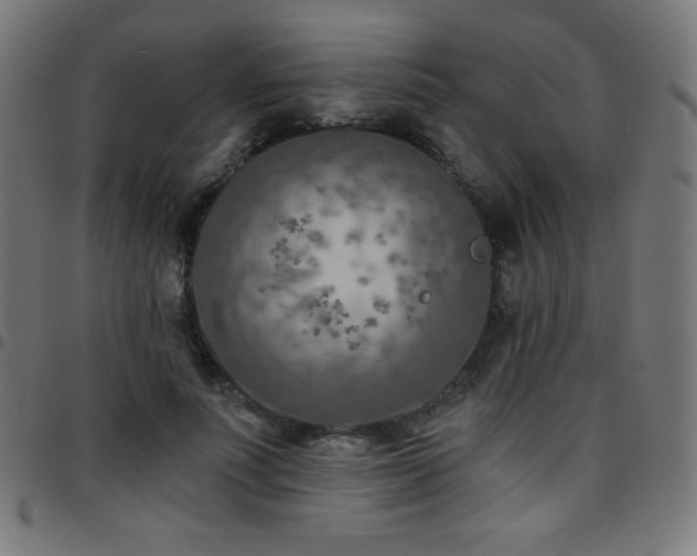X0000097750691200803071249