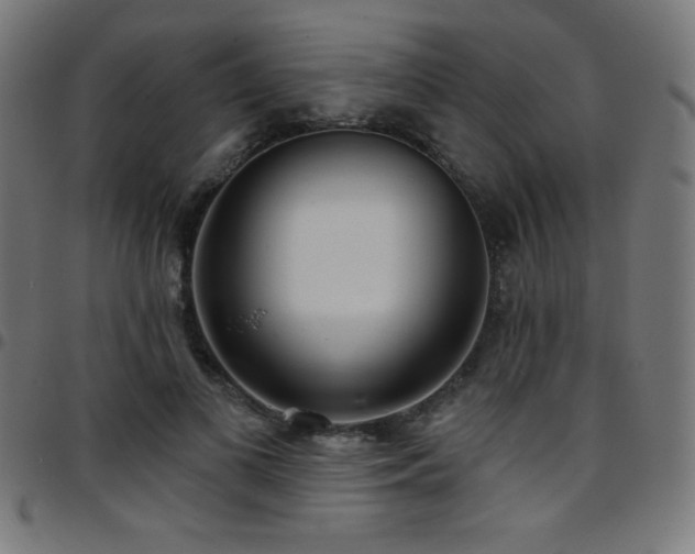 X0000097750693200803071249