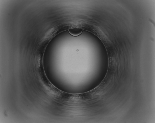 X0000097750694200803071249