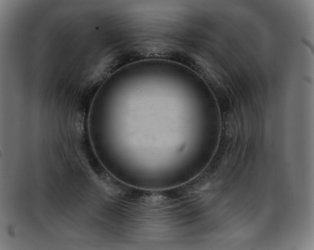 X0000097750695200803071249