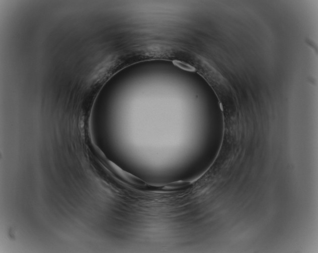 X0000097750696200803071249