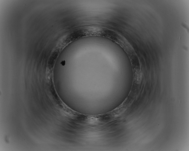 X0000097750701200803071248