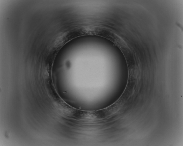 X0000097750702200803071248