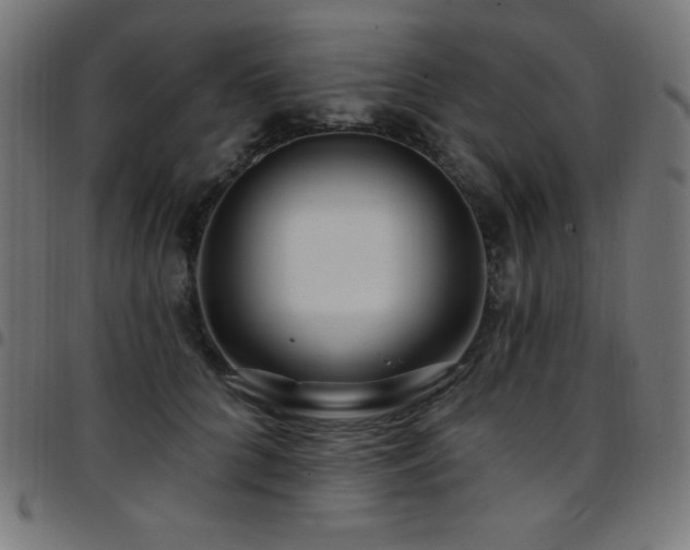 X0000097750704200803071248