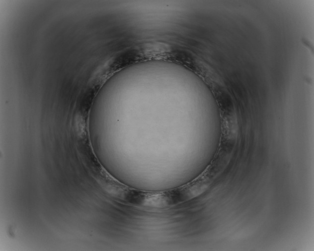 X0000097750705200803071248
