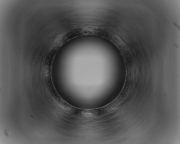 X0000097750706200803071248