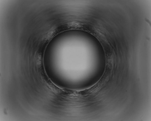 X0000097750708200803071248