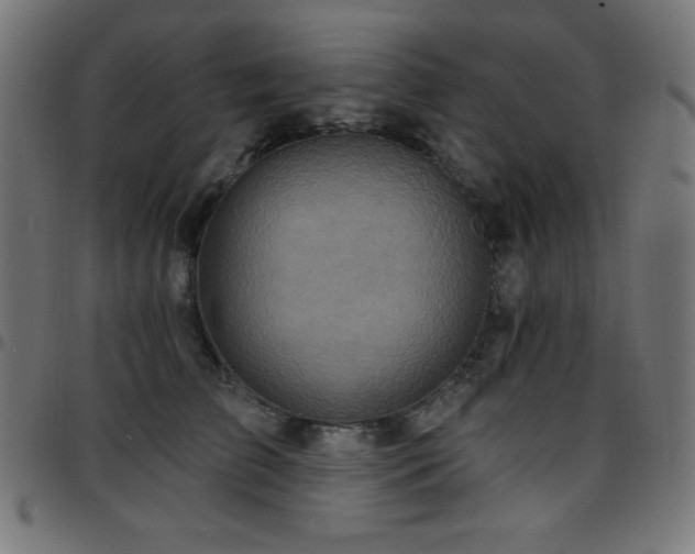 X0000097750709200803071248