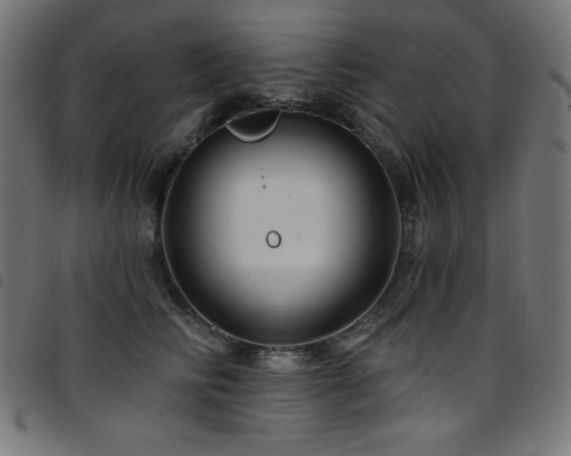 X0000097750710200803071248