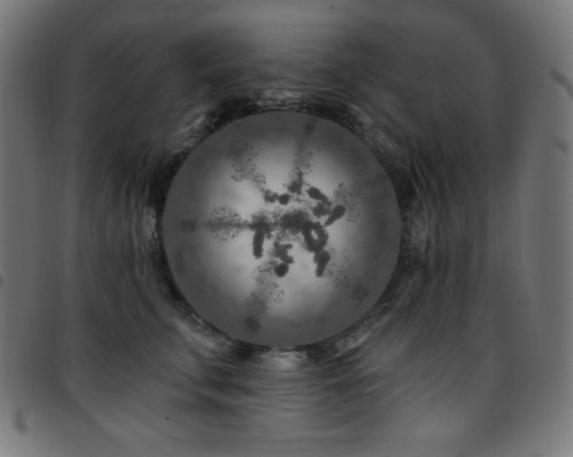 X0000097750711200803071248