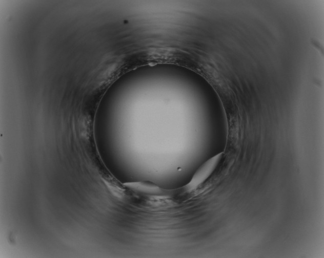 X0000097750712200803071248