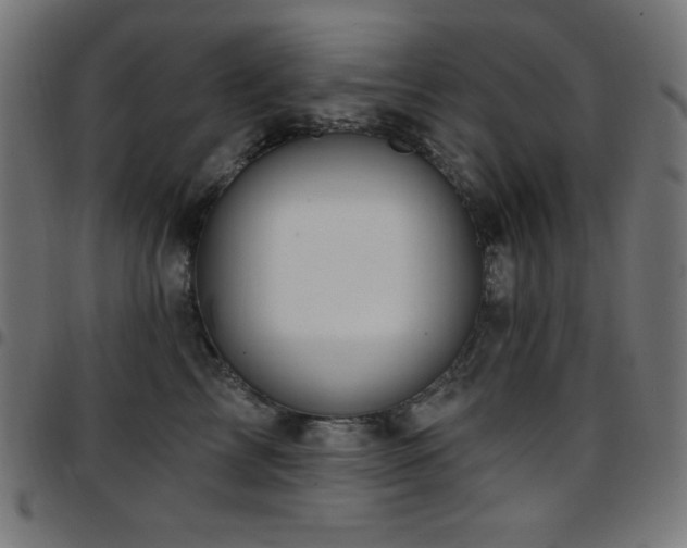 X0000097750713200803071248