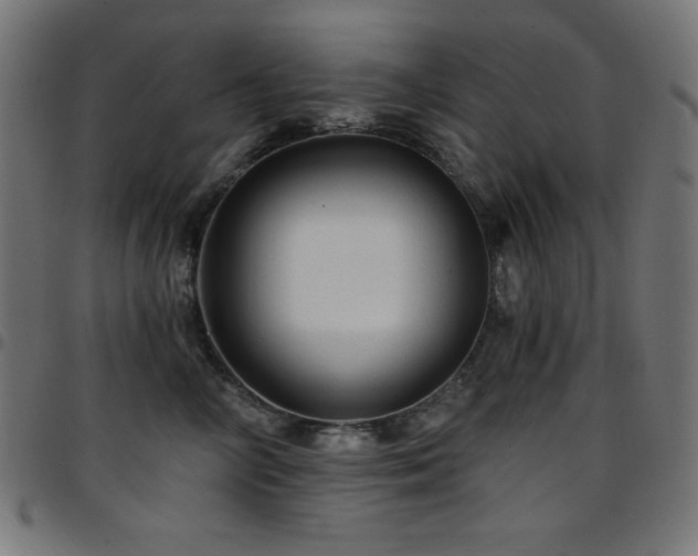 X0000097750714200803071248