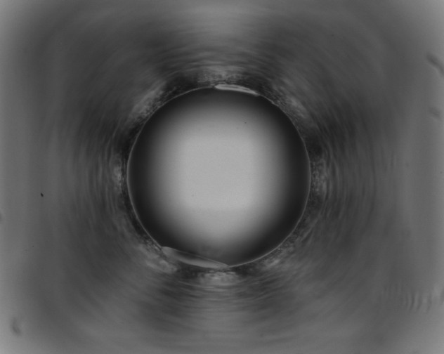X0000097750716200803071248