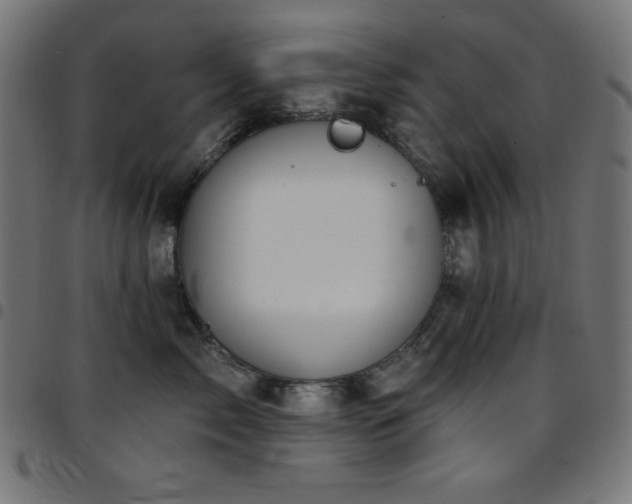 X0000097750717200803071248