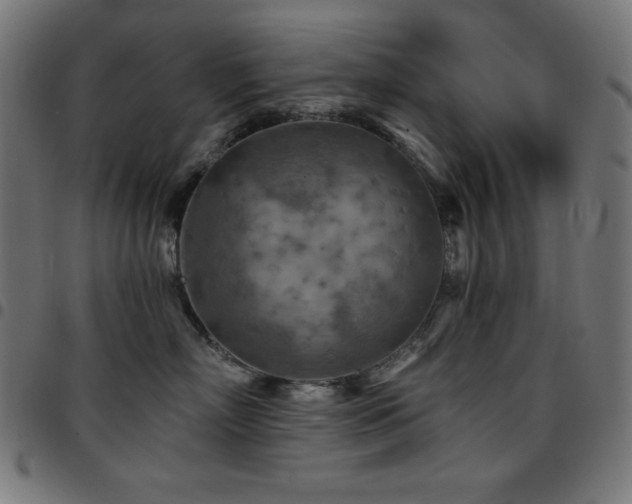 X0000097750718200803071248