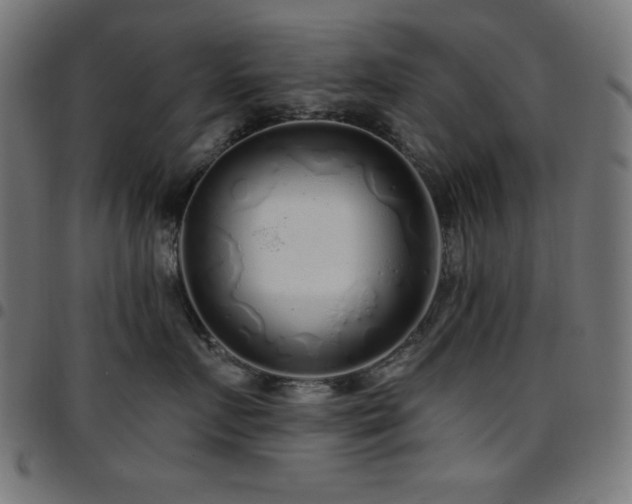 X0000097750719200803071248
