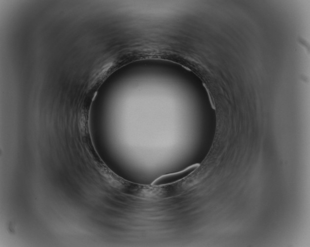 X0000097750720200803071248