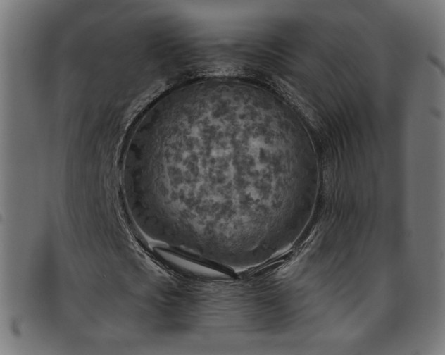 X0000097750721200803071247