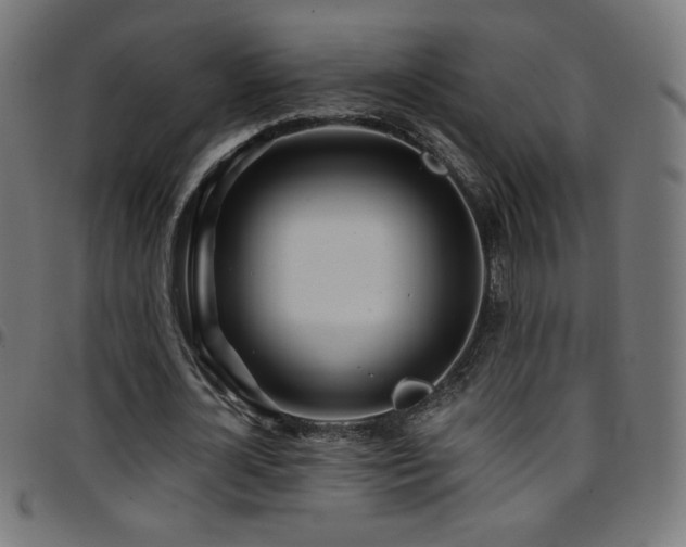 X0000097750724200803071248