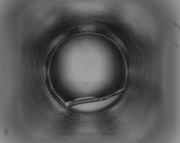 X0000097750725200803071248