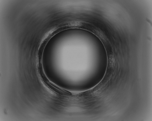 X0000097750726200803071248