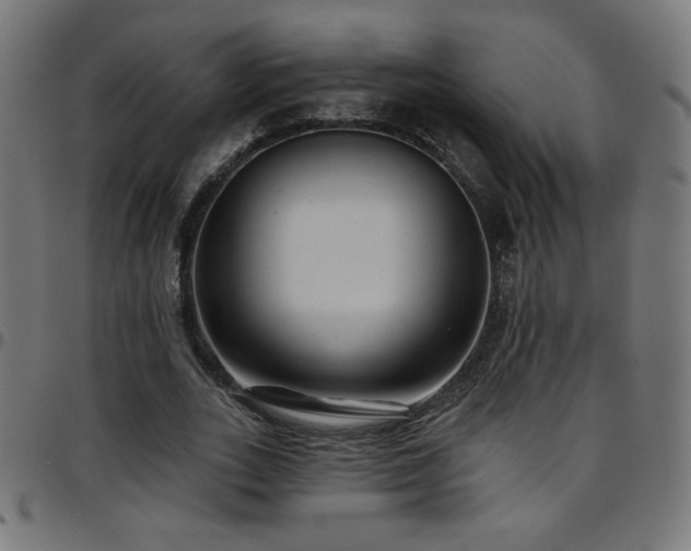 X0000097750727200803071248