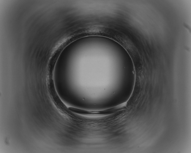 X0000097750728200803071248