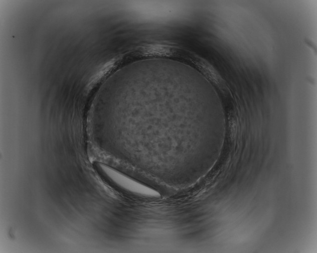 X0000097750729200803071248