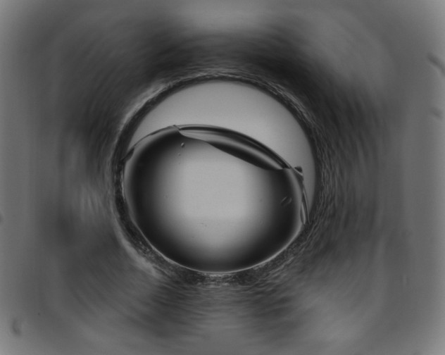 X0000097750730200803071248